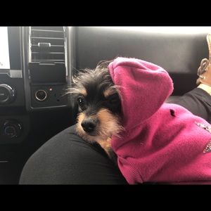 Meet your Posher, Isabella